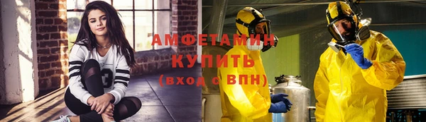 индика Няндома