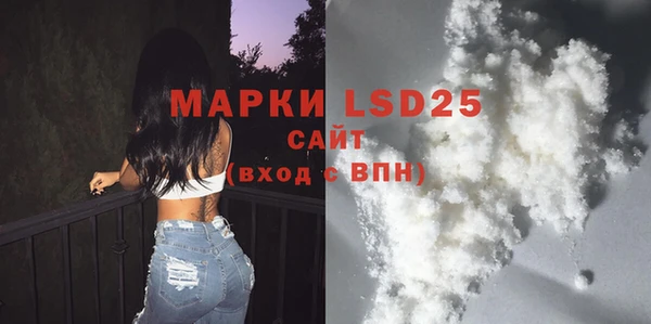 индика Няндома