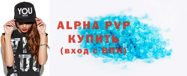 индика Няндома