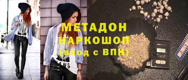 индика Няндома