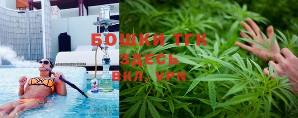 бошки Новозыбков