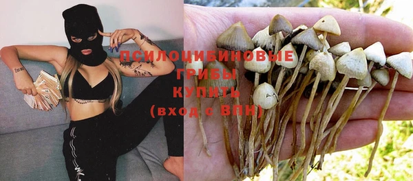 каннабис Новодвинск