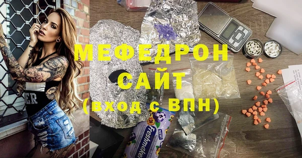 индика Няндома