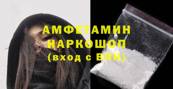 индика Няндома