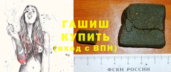 индика Няндома