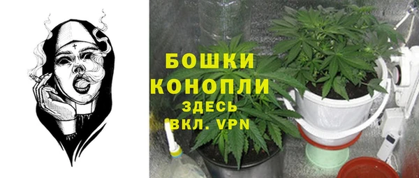 каннабис Новодвинск