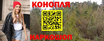 кокс Донской
