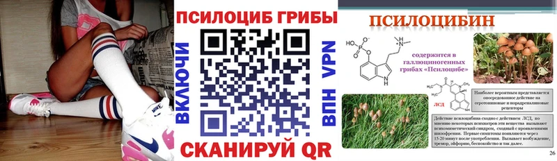 Псилоцибиновые грибы Psilocybe  купить наркоту  Качканар 