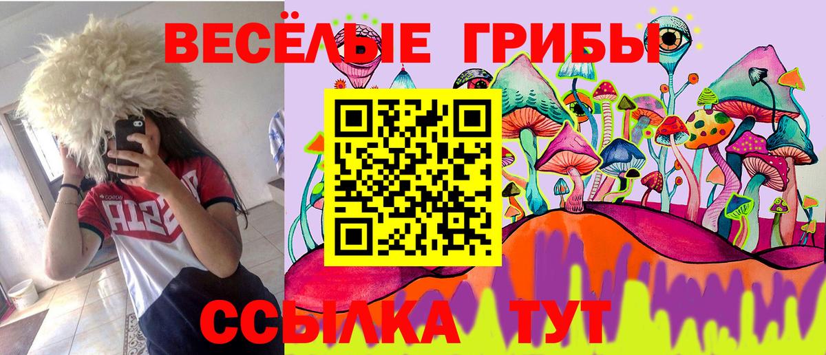 Псилоцибиновые грибы MAGIC MUSHROOMS  Вход с VPN  Качканар  Галлюциногенные грибы Psilocybe 